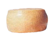 Caciotta degli elimi