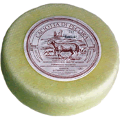 Caciotta di pecora