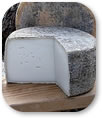 formaggi grassi Caciotta