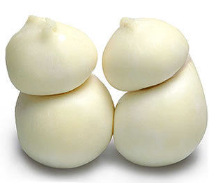 Scamorza