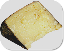 Bazzotto