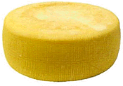 Canestrato